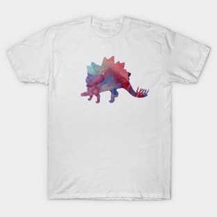 Stegosaurus T-Shirt